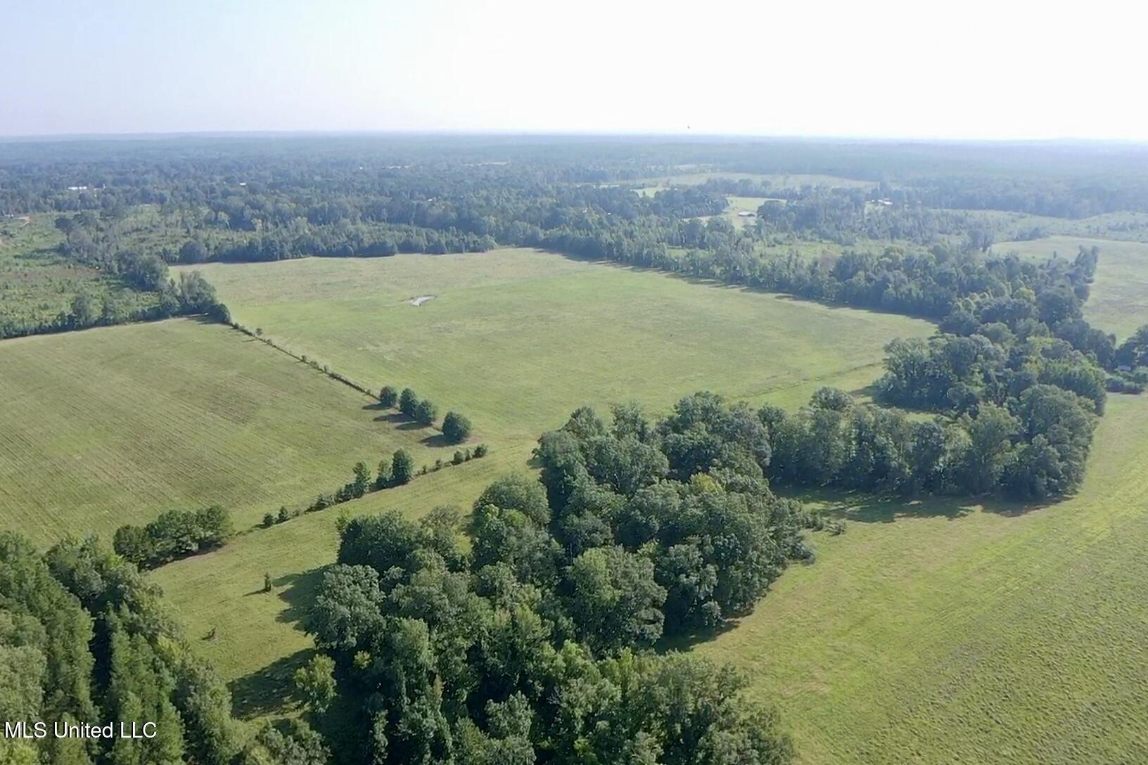 0 Crisco Road Florence, MS 39073 - Photo 4 of 14 4