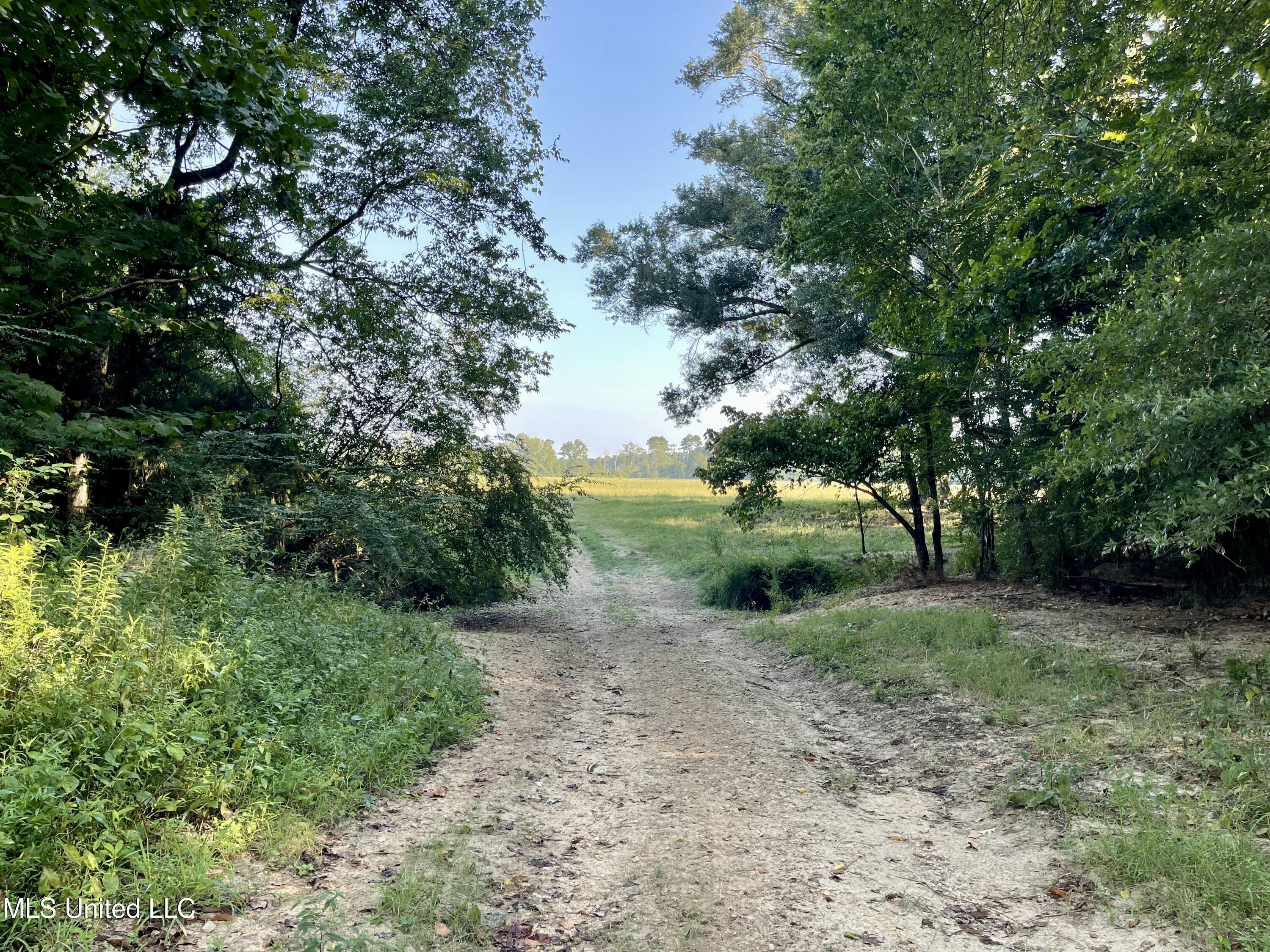 0 Crisco Road Florence, MS 39073 - Photo 5 of 14 5