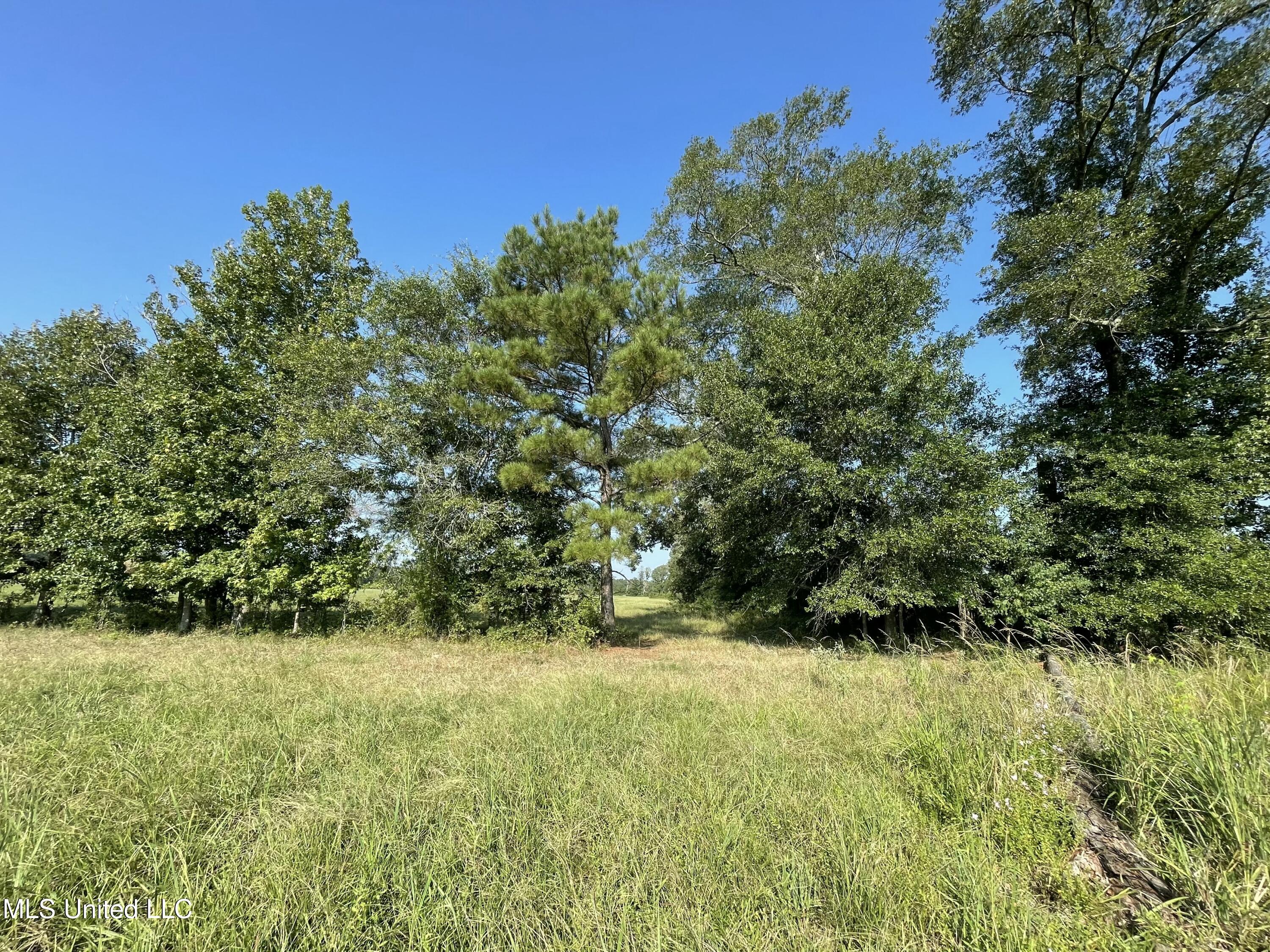 0 Crisco Road Florence, MS 39073 - Photo 7 of 14 7