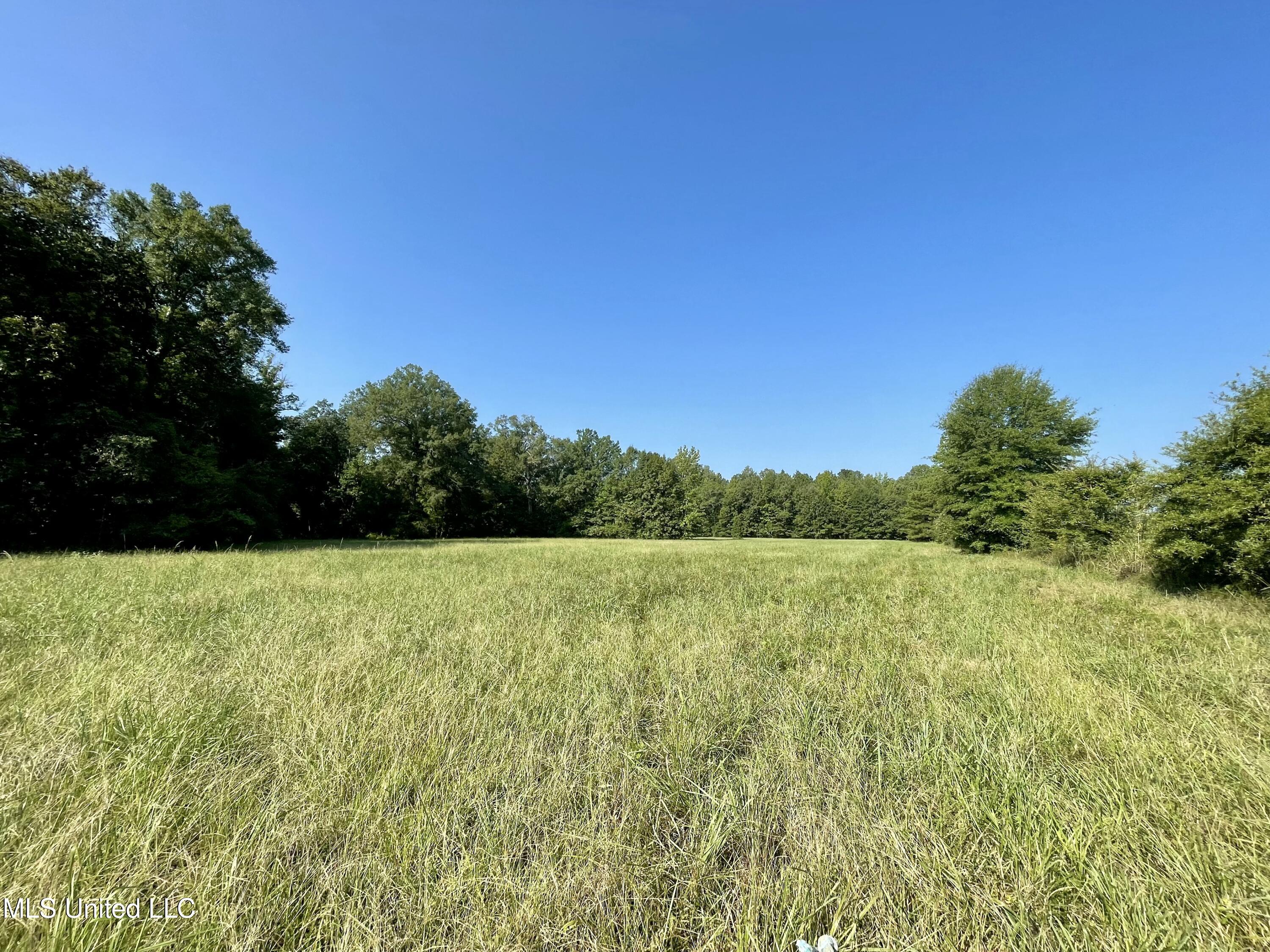 0 Crisco Road Florence, MS 39073 - Photo 8 of 14 8