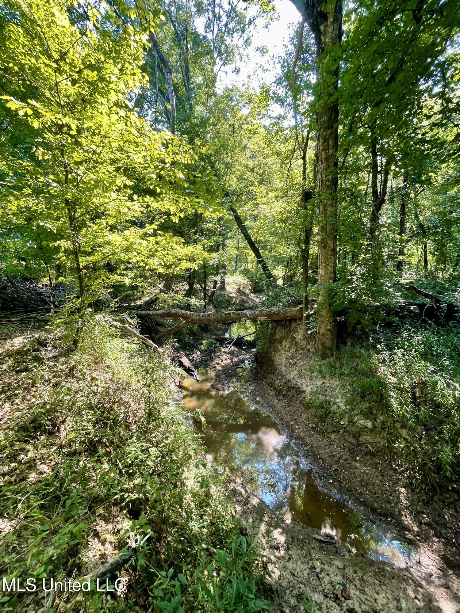 0 Crisco Road Florence, MS 39073 - Photo 9 of 14 9