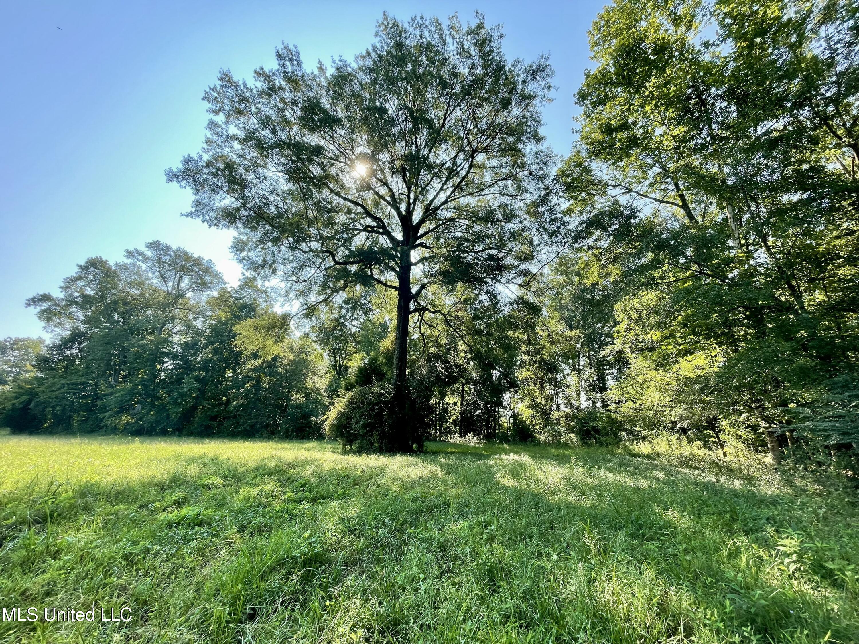 0 Crisco Road Florence, MS 39073 - Photo 10 of 14 10