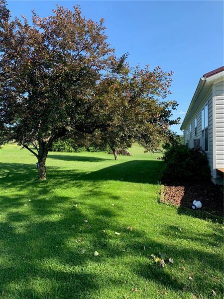 249 Heimann Road Latrobe, PA 15650 - Photo 6 of 25 LEFT SIDE OF HOUSE