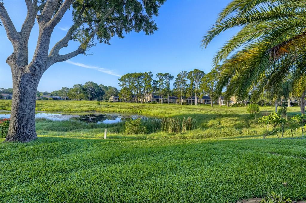 11330 Tee Time Circle New Port Richey, FL 34654 - Photo 30 of 34