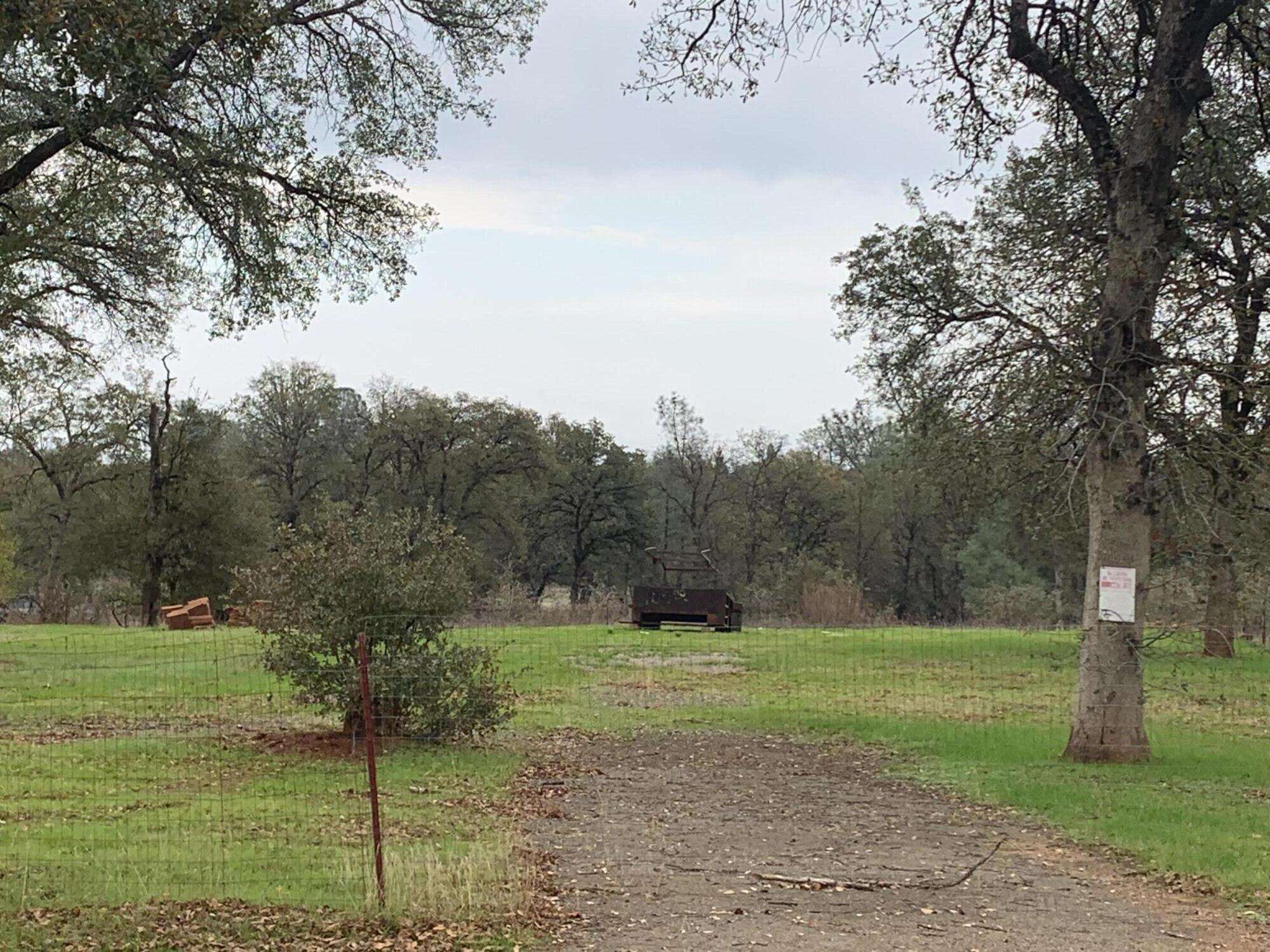 a view of a park with large trees