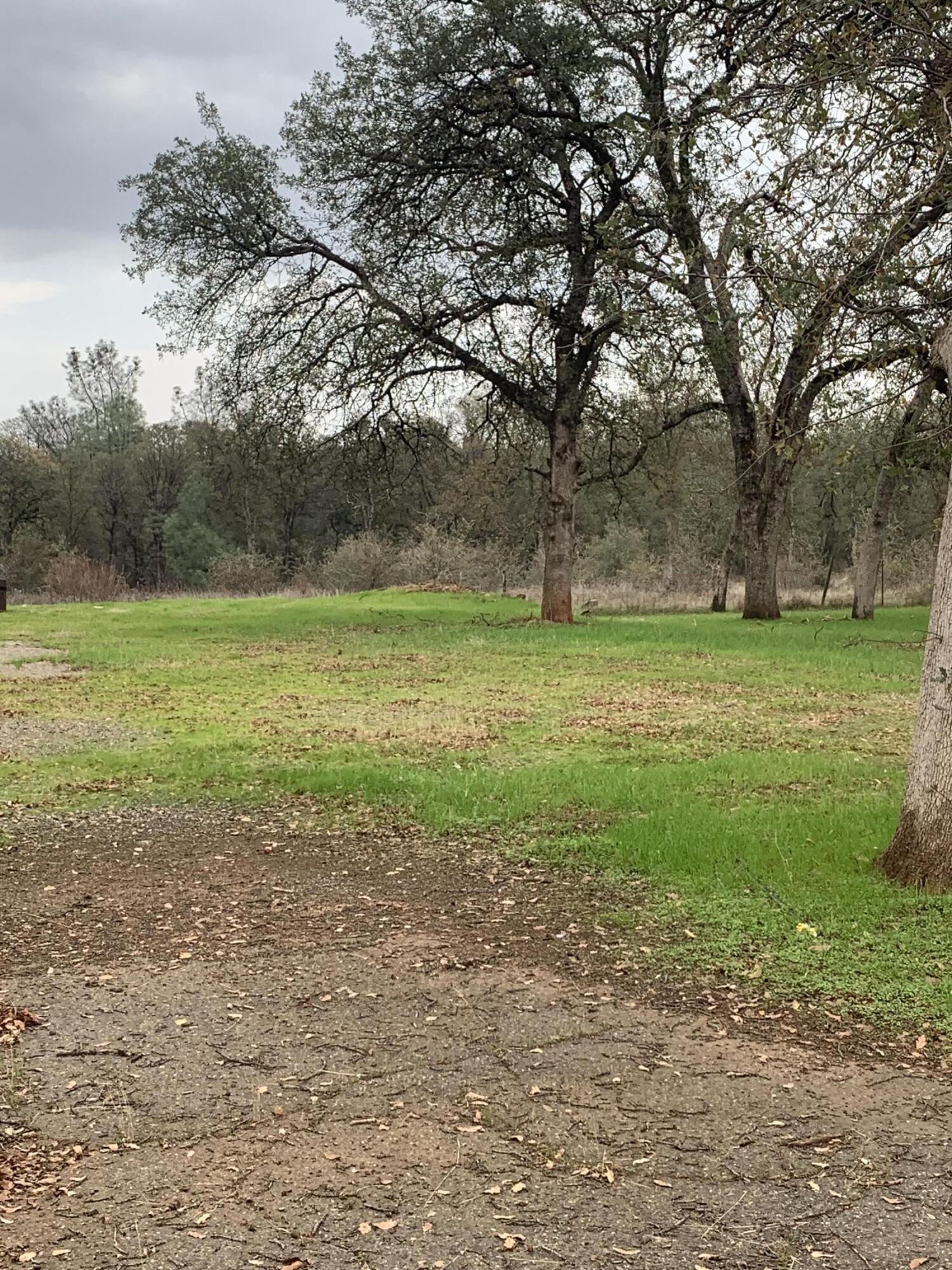 3051 Leonard Street Redding, CA 96002 - Photo 2 of 9 a view of a field with a tree