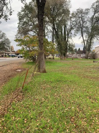 a view of yard with tree