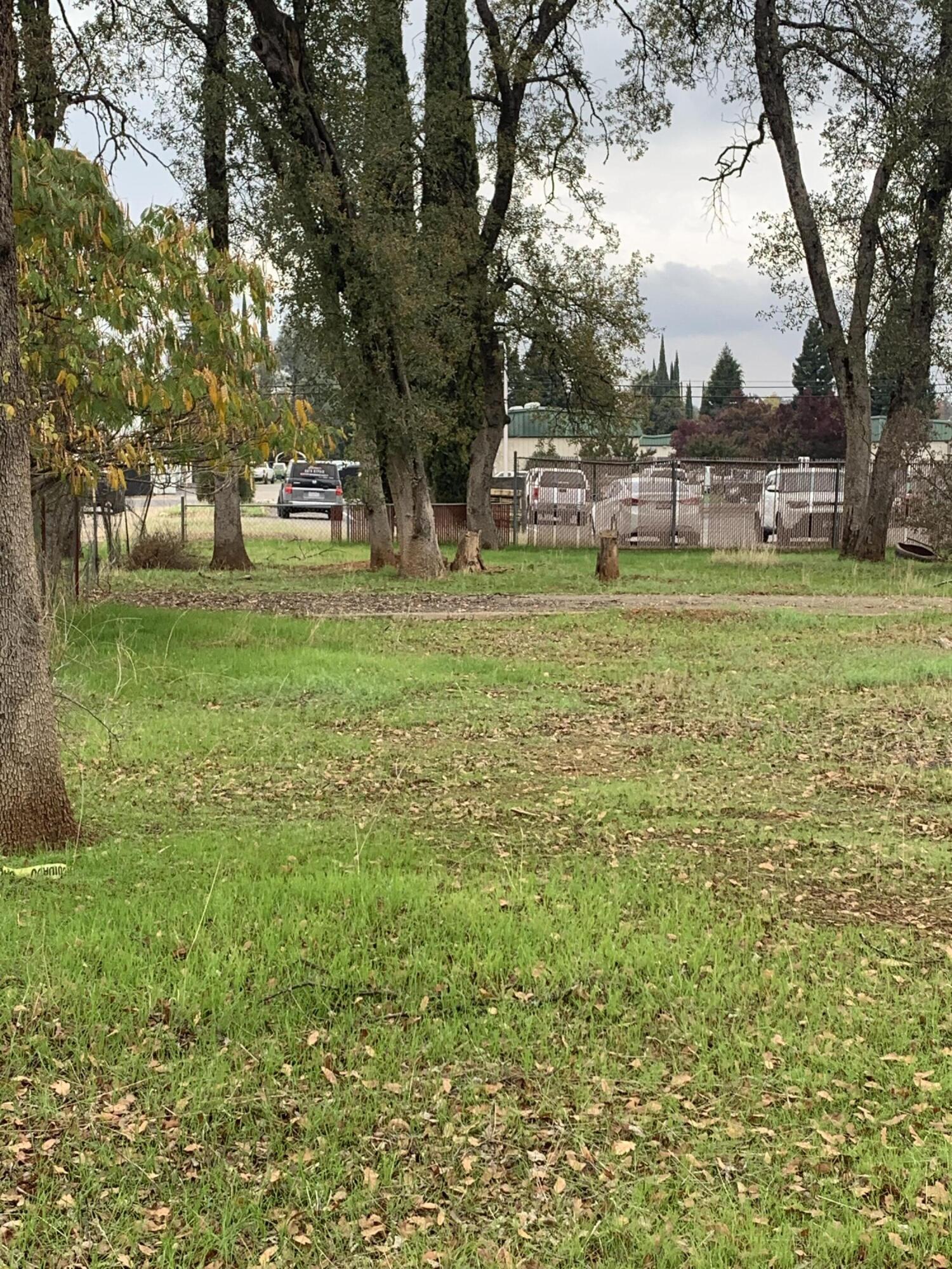 3051 Leonard Street Redding, CA 96002 - Photo 4 of 9 a view of yard with tree s