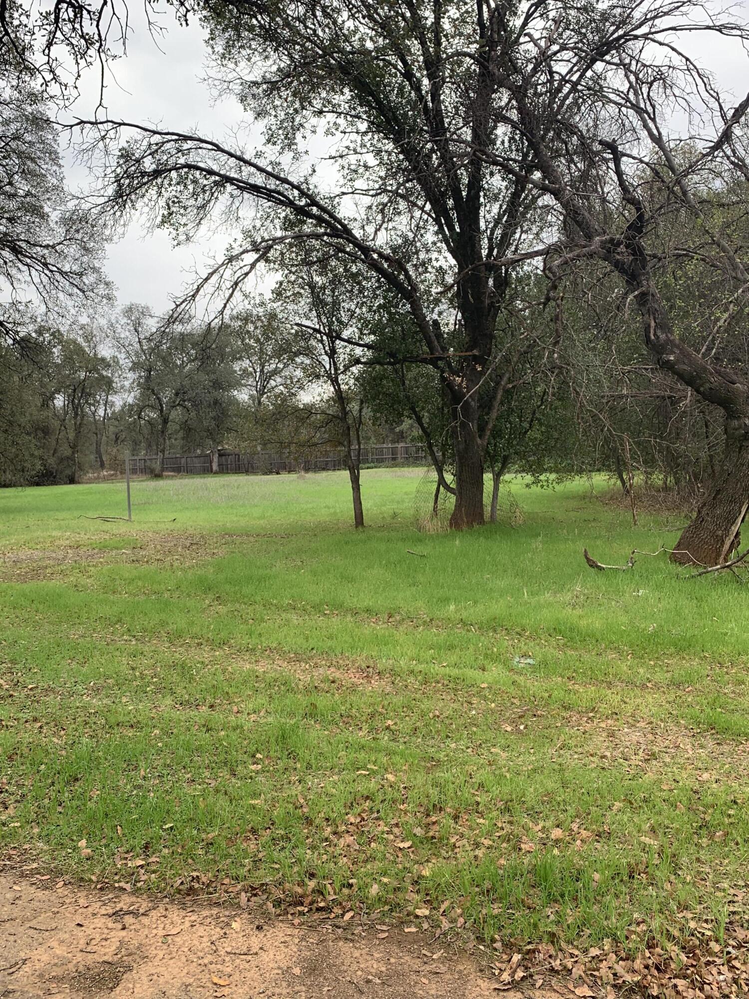 3051 Leonard Street Redding, CA 96002 - Photo 6 of 9 a view of field with tall trees
