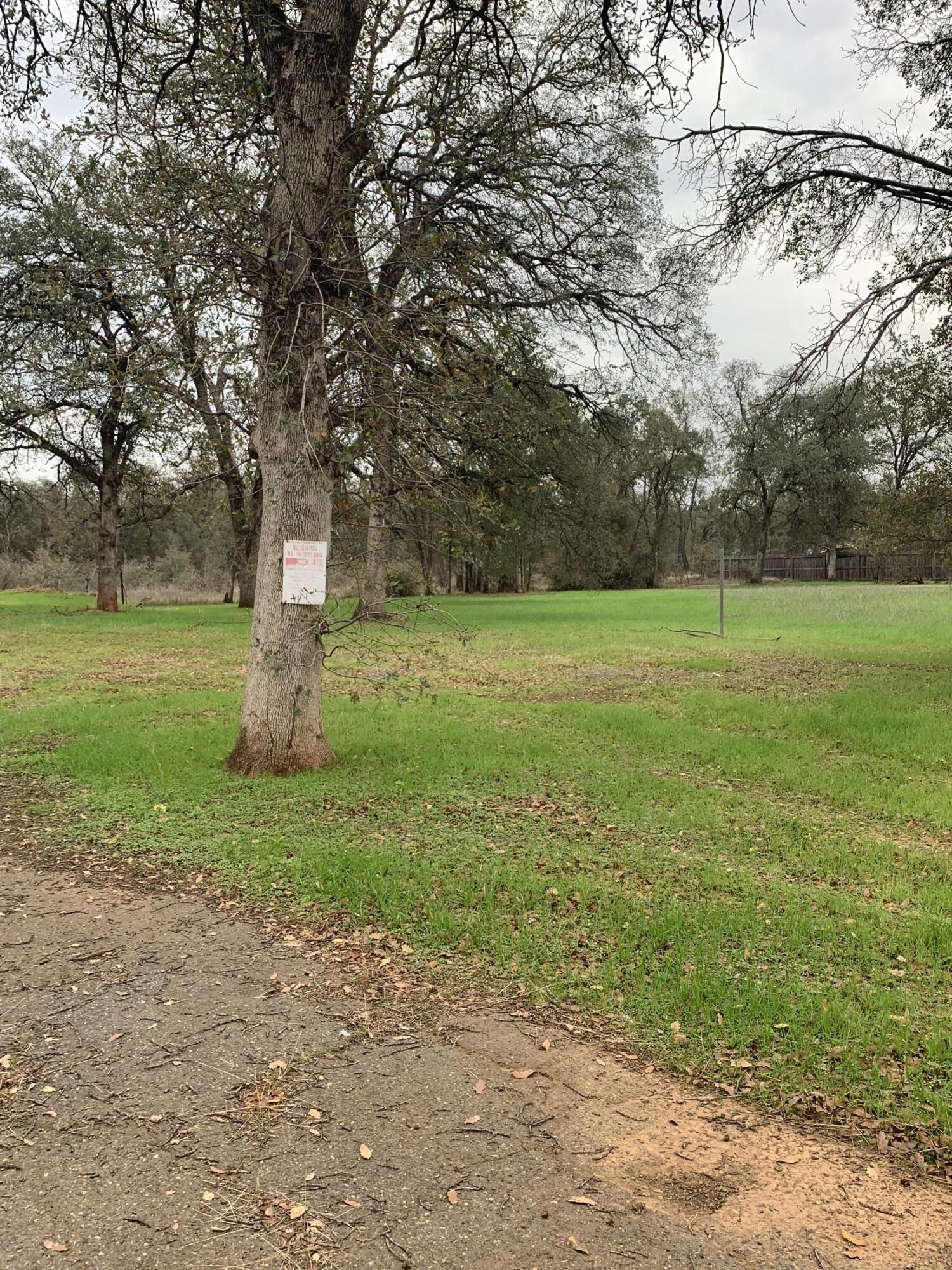 3051 Leonard Street Redding, CA 96002 - Photo 7 of 9 a view of a field with a tree