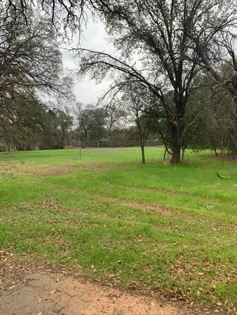 a view of outdoor space with green field and trees