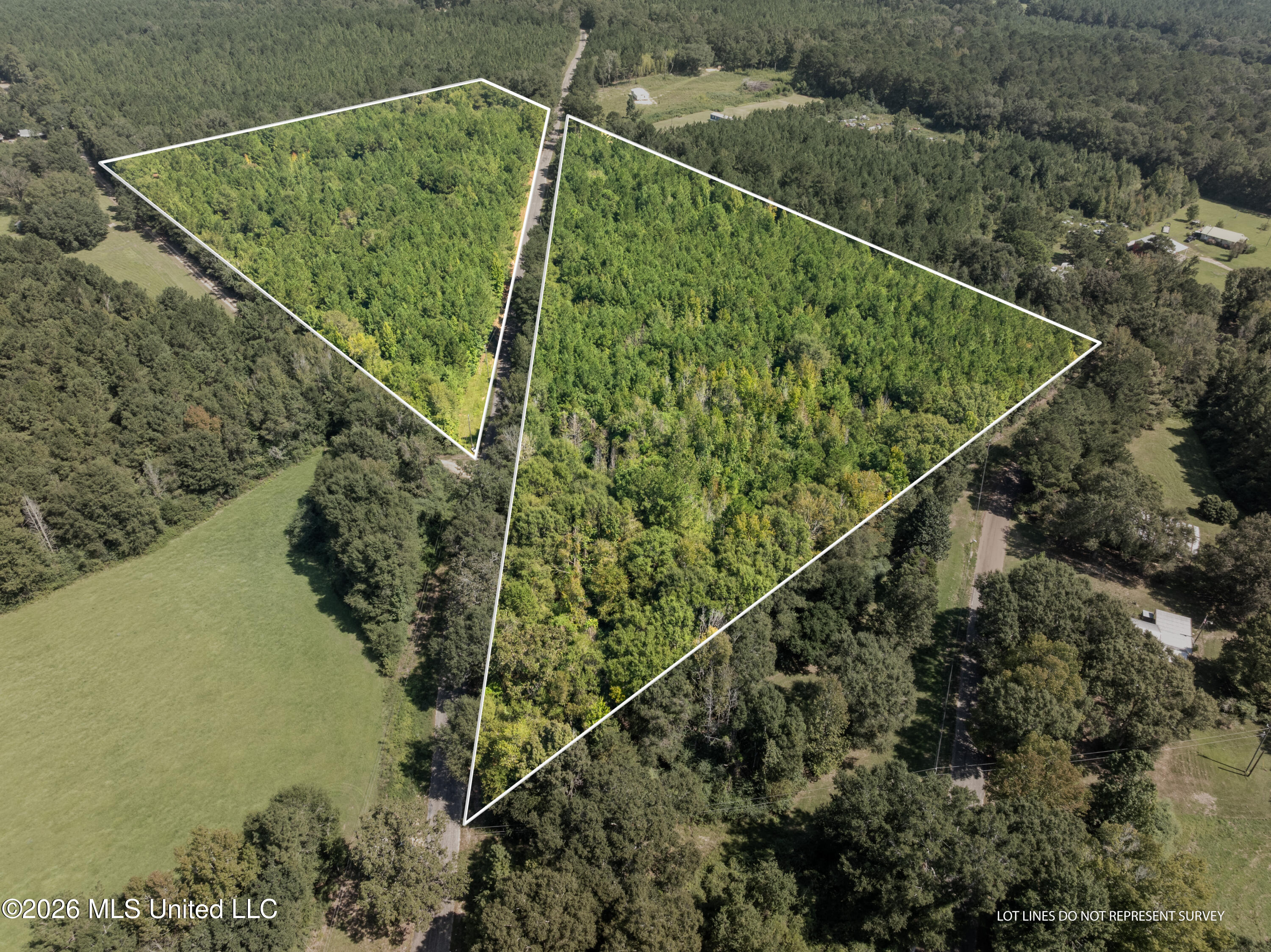 326 Magee Hill Road Tylertown, MS 39667 - Photo 1 of 14 200_Magee_Hill_Rd_Lot_Lines-1