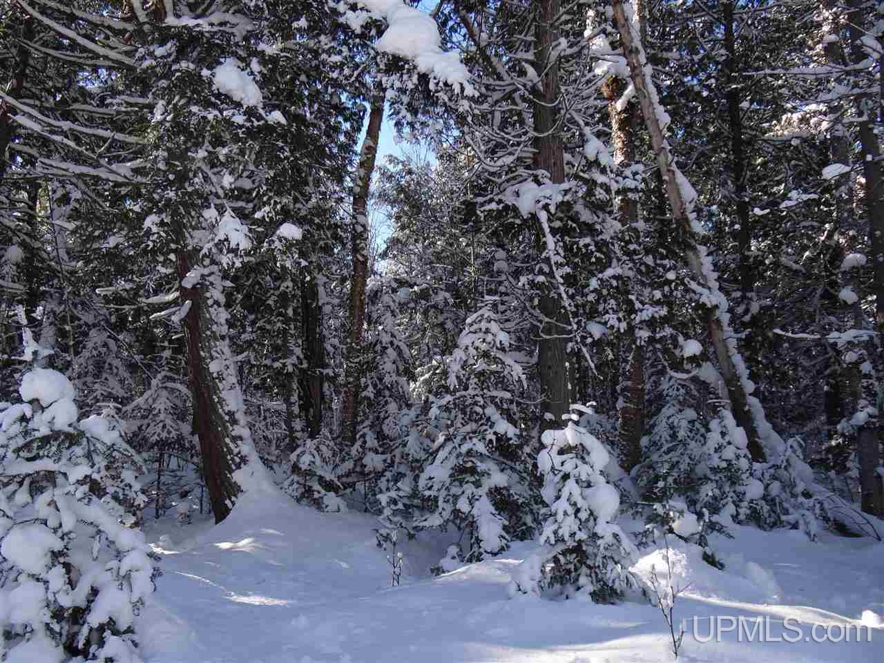 Tbd Irwin Road Baraga, MI 49908 - Photo 22 of 27