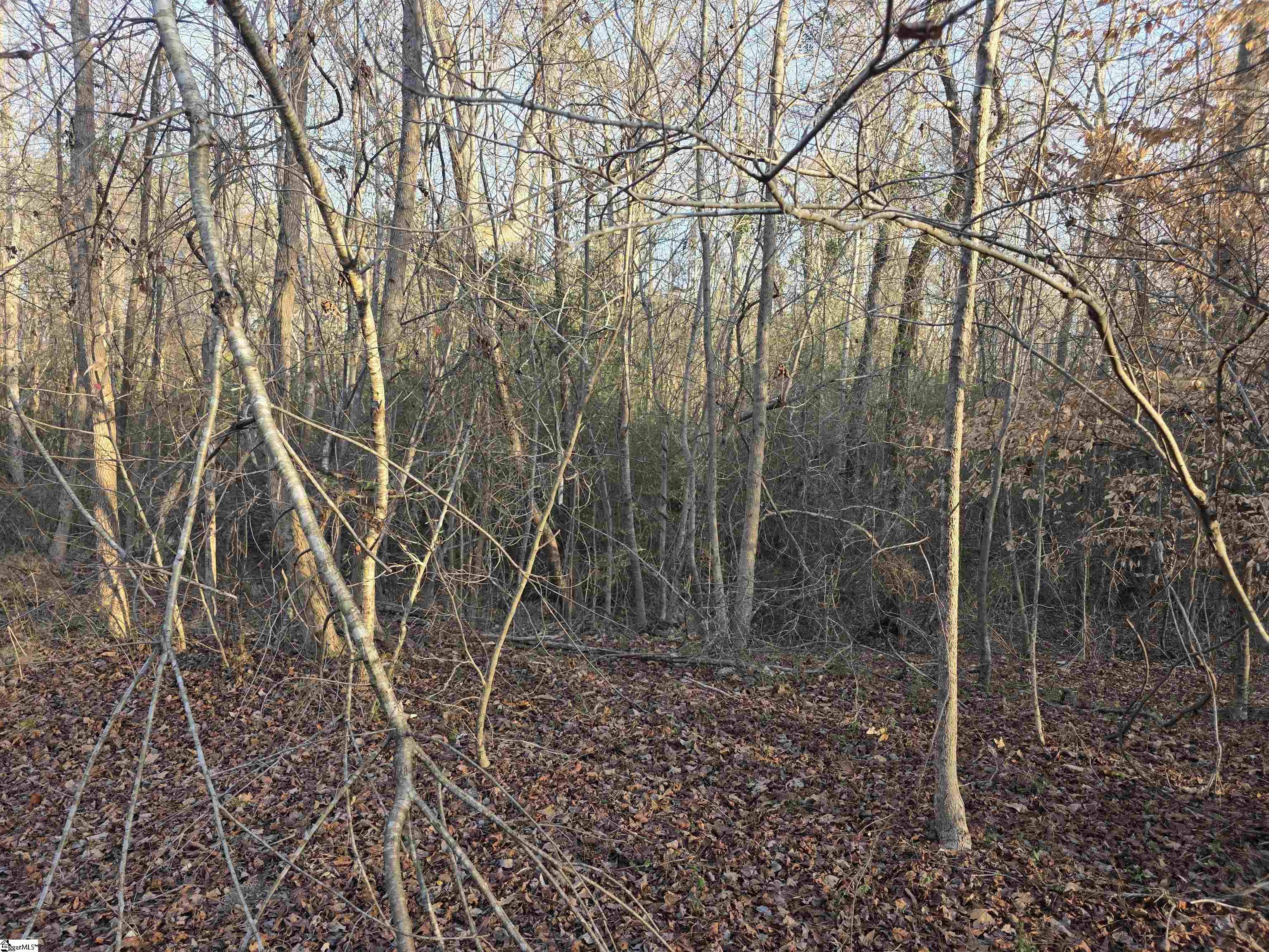 506 Trinity Church Road Laurens, SC 29360 - Photo 12 of 17