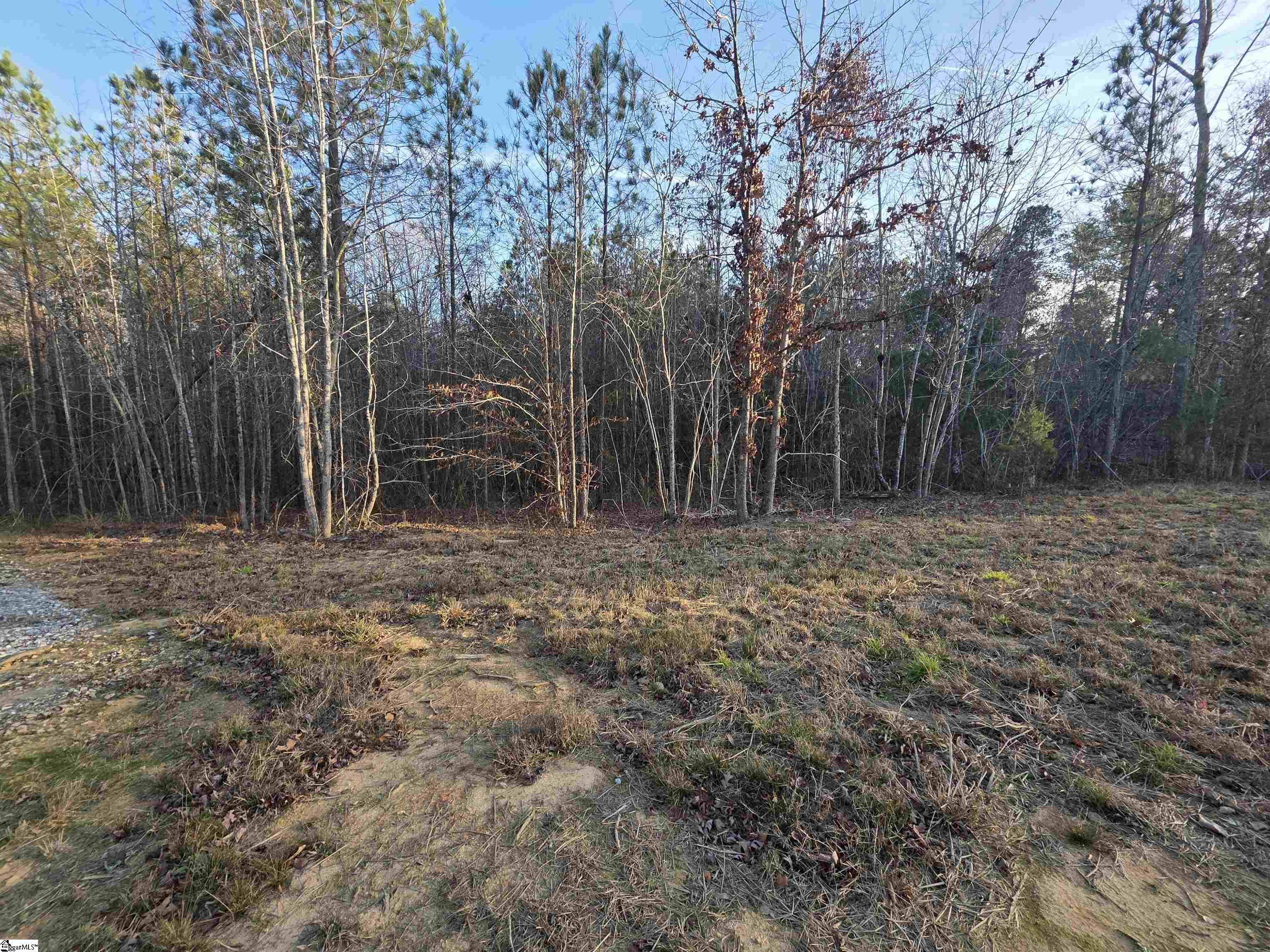 506 Trinity Church Road Laurens, SC 29360 - Photo 4 of 17