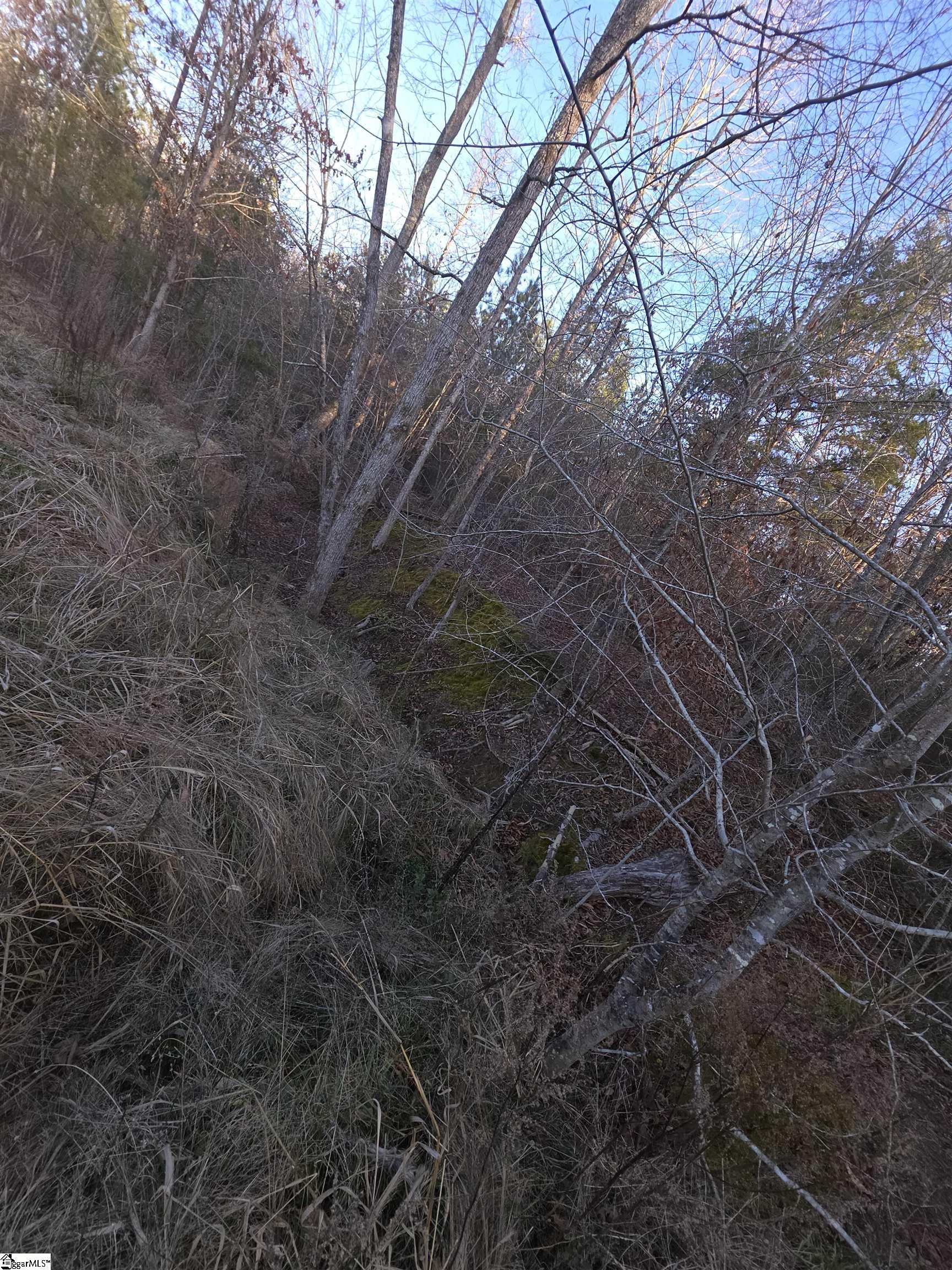 506 Trinity Church Road Laurens, SC 29360 - Photo 6 of 17