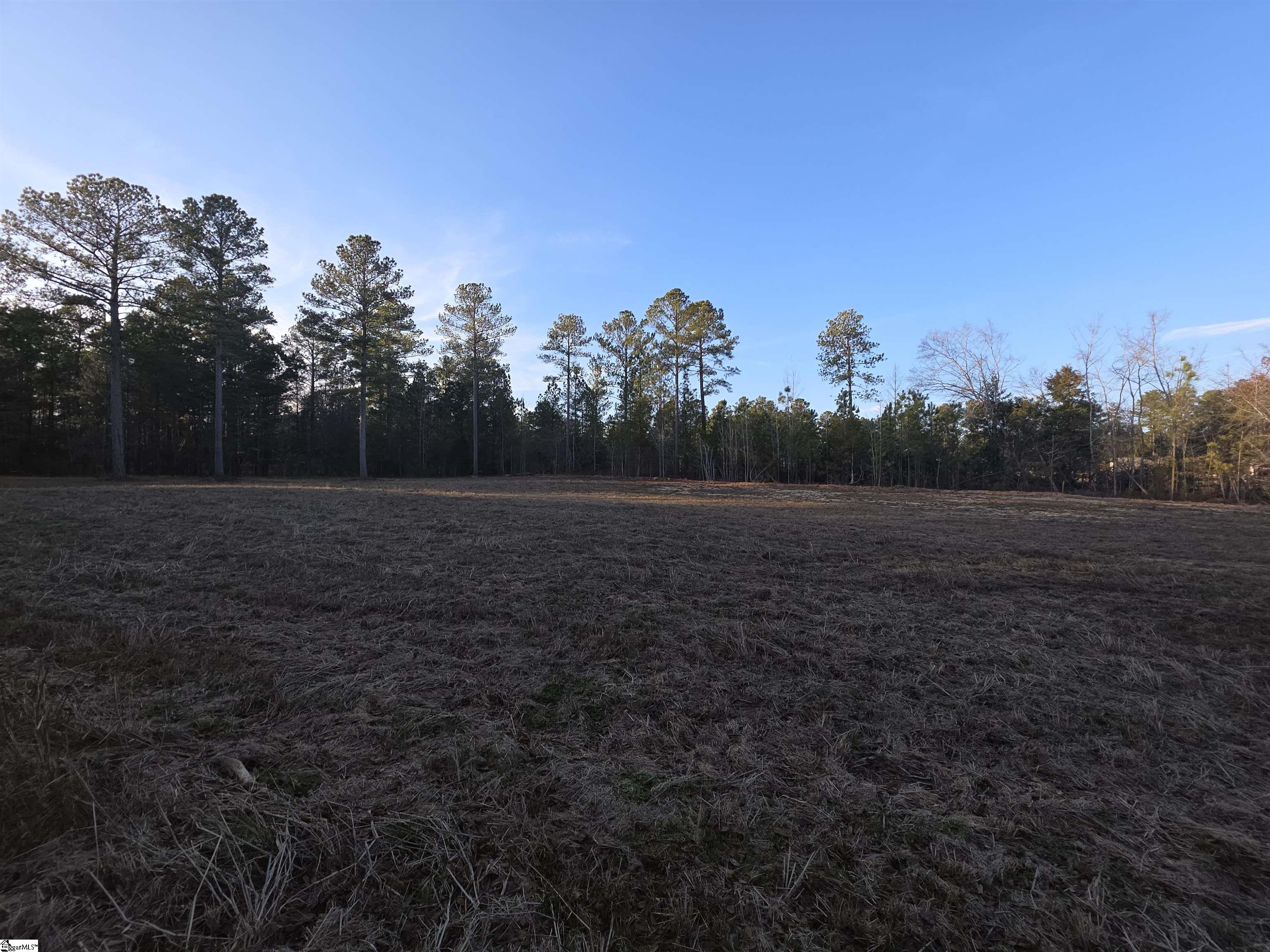 506 Trinity Church Road Laurens, SC 29360 - Photo 7 of 17