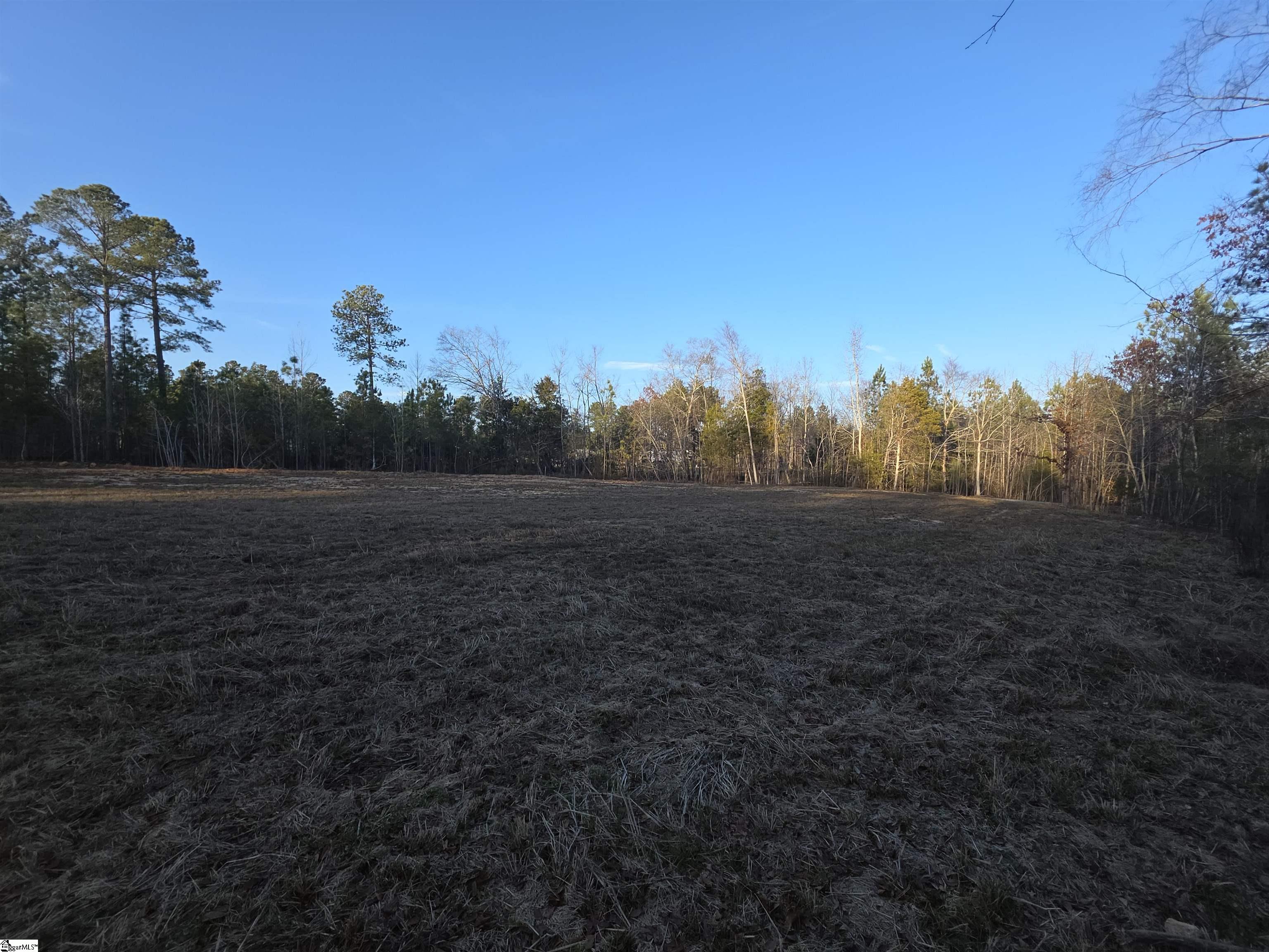 506 Trinity Church Road Laurens, SC 29360 - Photo 8 of 17