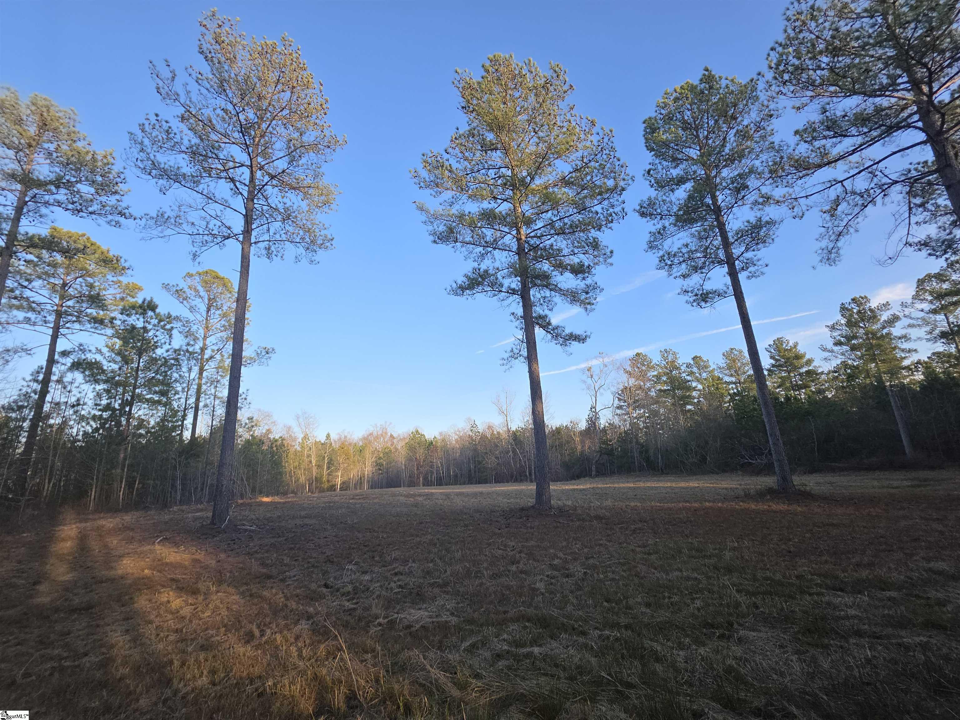 506 Trinity Church Road Laurens, SC 29360 - Photo 10 of 17