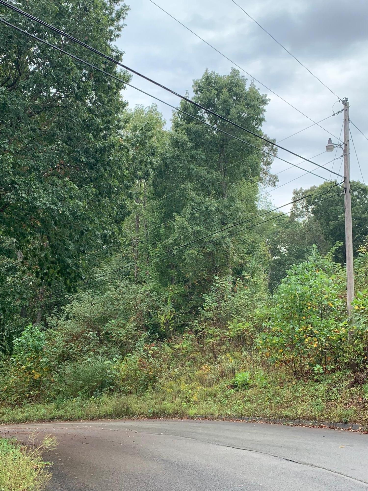 Mallard Baye Rutledge, TN 37861 - Photo 1 of 2 Lot 161 Mallard Baye