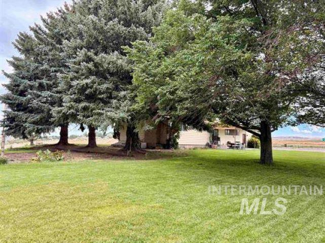 3197 Neeley Road American Falls, ID 83211 - Photo 39 of 45 Expansive green lawn with mature evergreen and deciduous trees