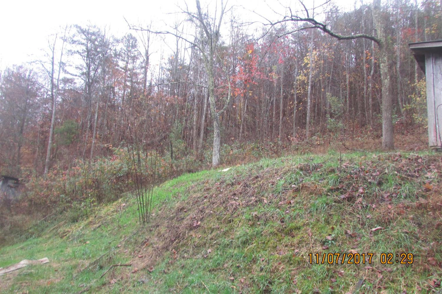 502 Shoreline Drive Road Walker, KY 40997 - Photo 5 of 27 Photo 5