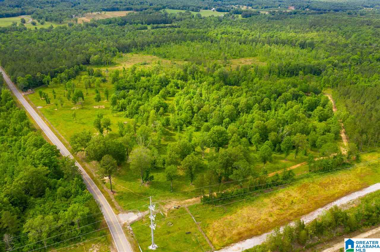 0 County Road 31 Springville, AL 35146 - Photo 8 of 18 Gallery Image 8