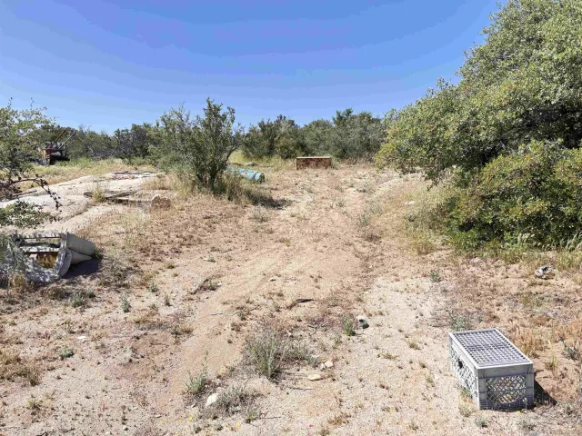 a view of a dry yard with wooden fence and a mountain view