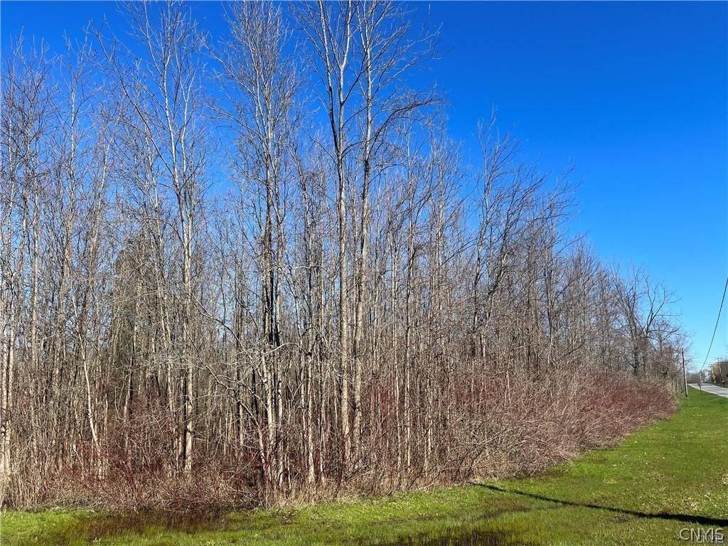 0 West Lake Road Oswego, NY 13126 - Photo 3 of 3