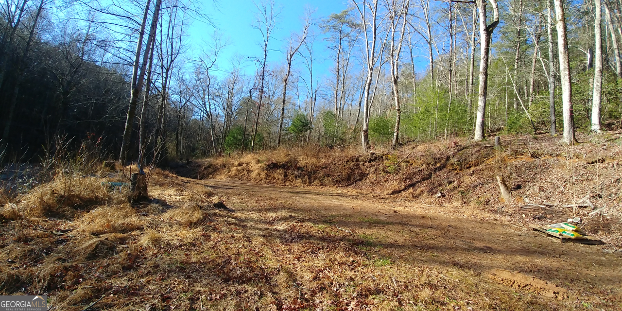 352 Goose Island Road Cherry Log, GA 30522 - Photo 1 of 1 a view of a backyard of the house