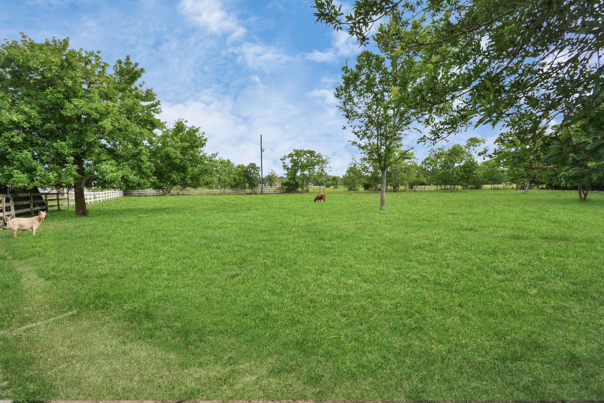 12746 Roy Road Pearland, TX 77581 - Photo 12 of 44