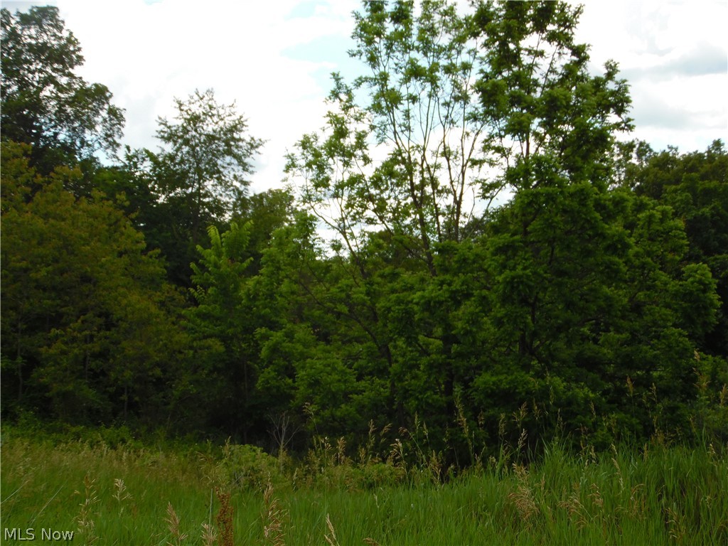 84 Sealy Ridge Road Little Hocking, OH 45742 - Photo 50 of 50