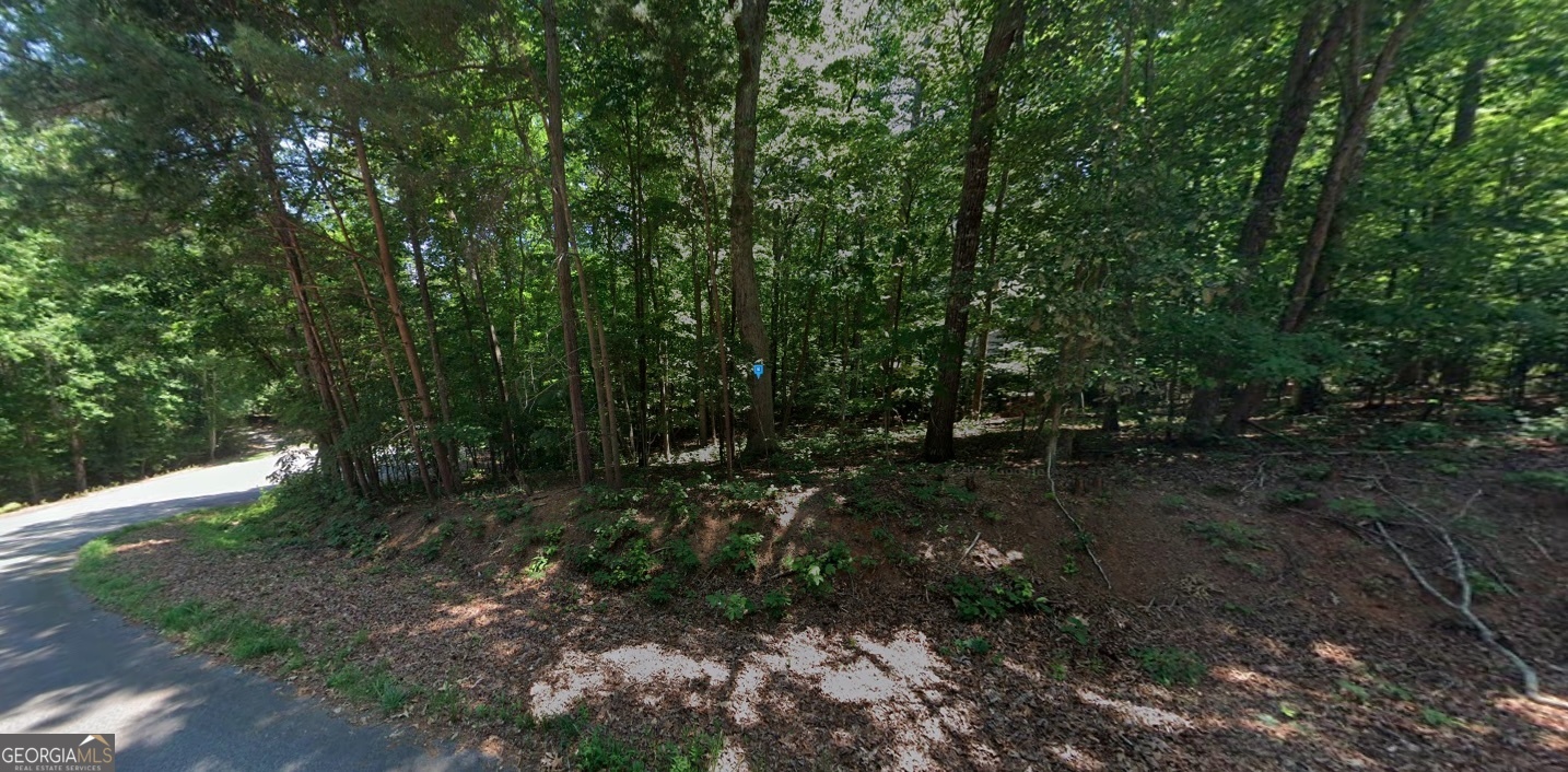 3184 Dockside Drive Gainesville, GA 30501 - Photo 2 of 5 a view of outdoor space and trees