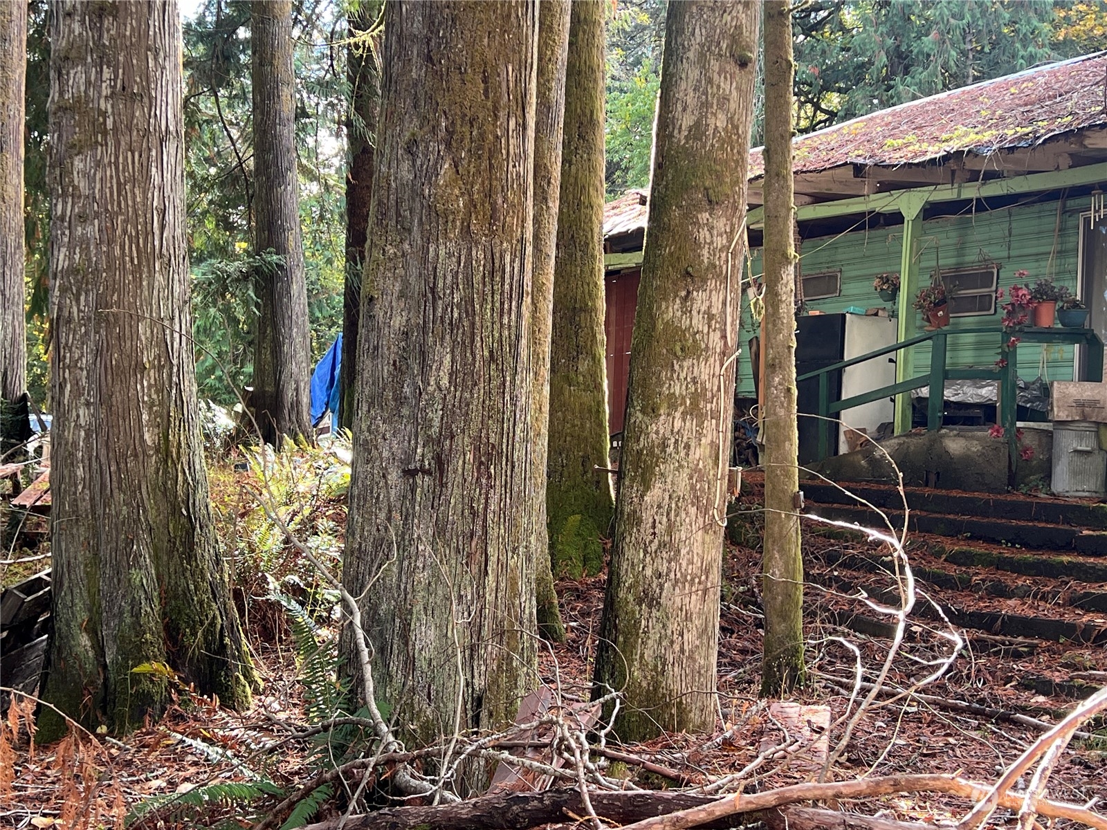 780 Mountain Trail Road Brinnon, WA 98320 - Photo 16 of 22