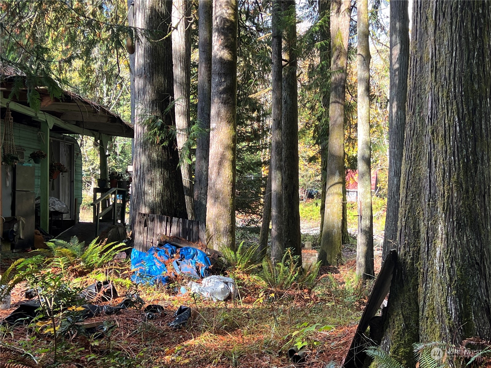 780 Mountain Trail Road Brinnon, WA 98320 - Photo 17 of 22