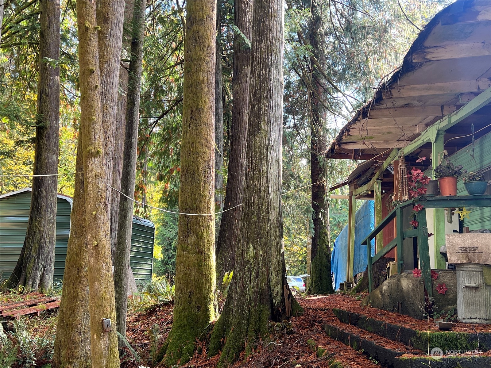 780 Mountain Trail Road Brinnon, WA 98320 - Photo 6 of 22