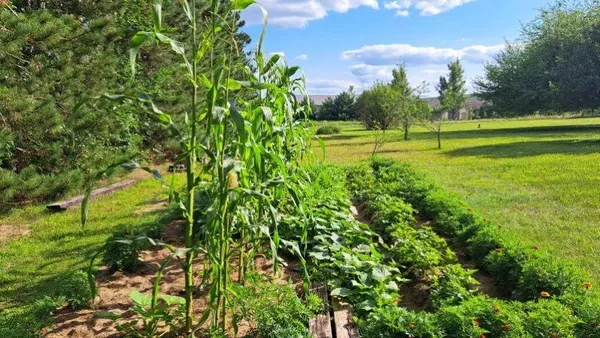 $589,999 | E11616 North Reedsburg Road, Baraboo, WI 53913