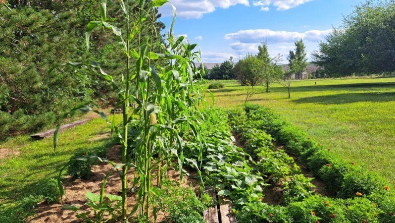 E11616 North Reedsburg Road Baraboo, WI 53913 - Photo 61 of 68