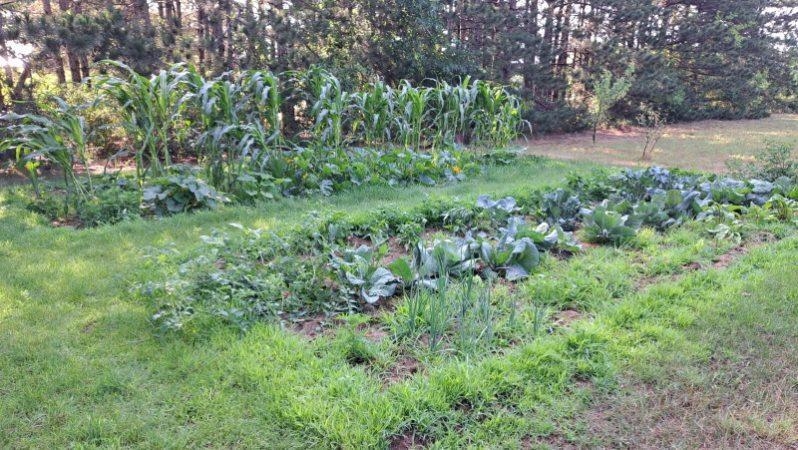 E11616 North Reedsburg Road Baraboo, WI 53913 - Photo 65 of 68