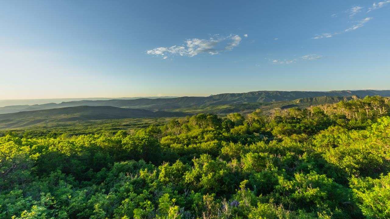 75170 Q 72nd Road Montrose, CO 81401 - Photo 17 of 37 Gallery Image 17