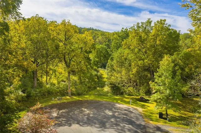 a view of a yard with plants and large trees