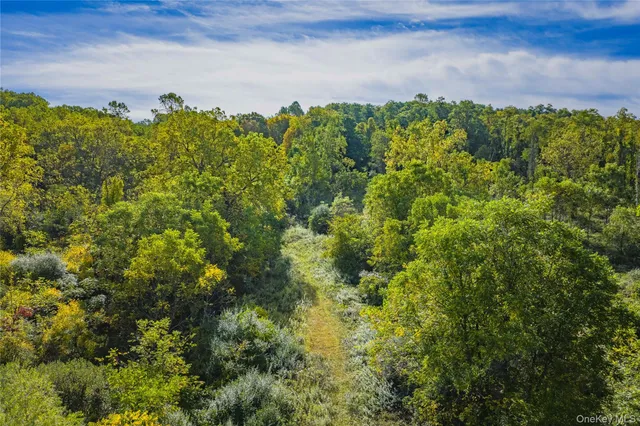a view of a bunch of trees