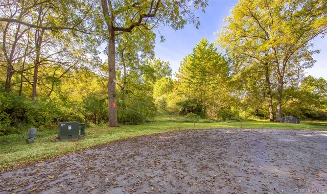 a view of a field with trees in the background
