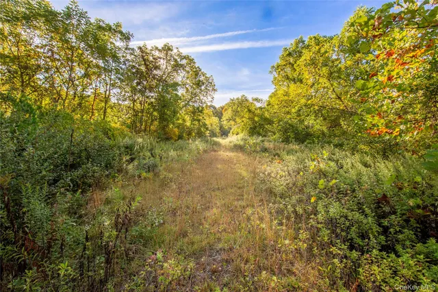 a view of a big yard with lots of bushes