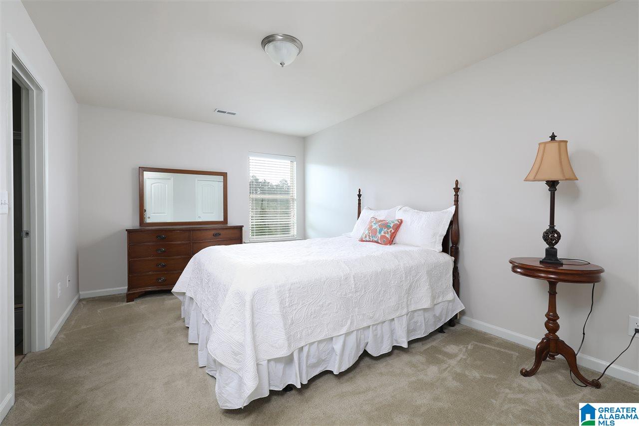117 Village Springs Cove Springville, AL 35146 - Photo 15 of 24