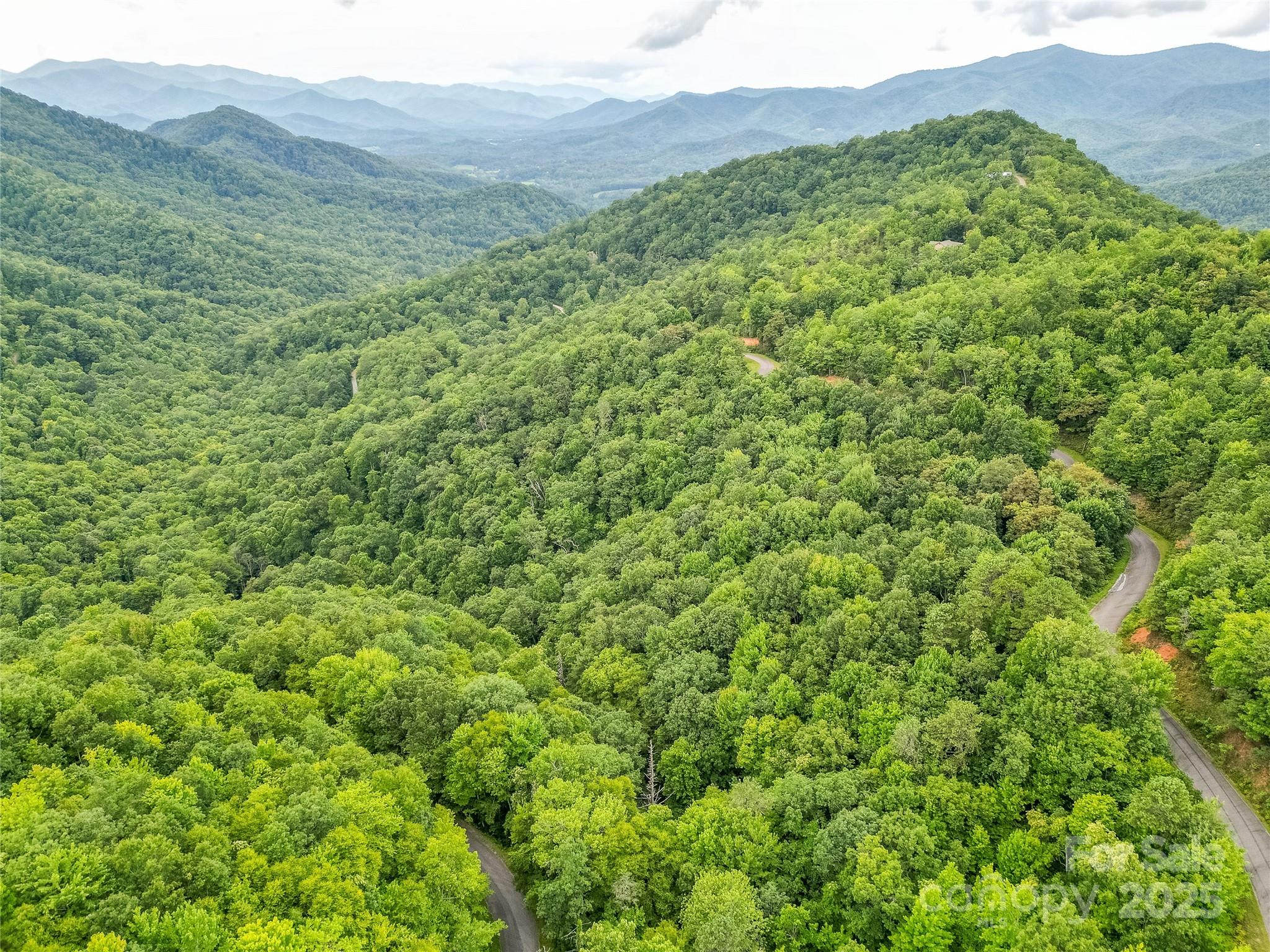 0 Doghobble Drive Franklin, NC 28734 - Photo 2 of 8