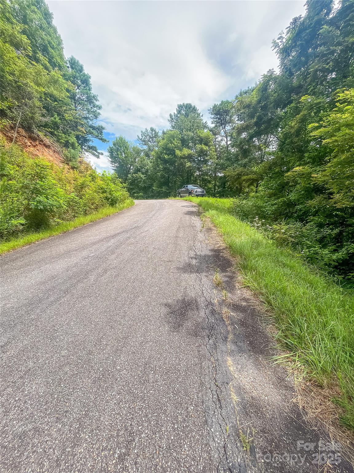 0 Doghobble Drive Franklin, NC 28734 - Photo 3 of 8