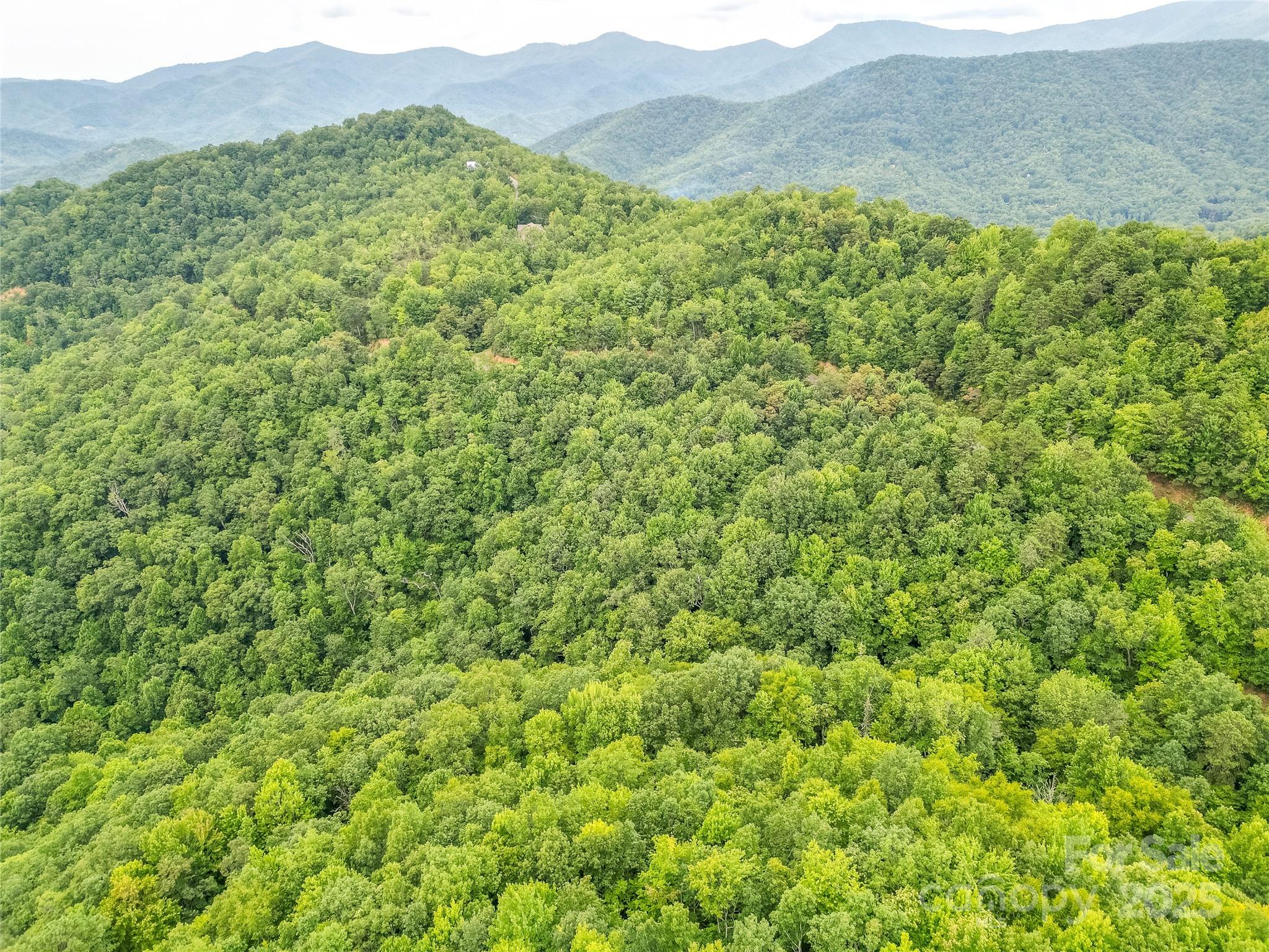 0 Doghobble Drive Franklin, NC 28734 - Photo 4 of 8