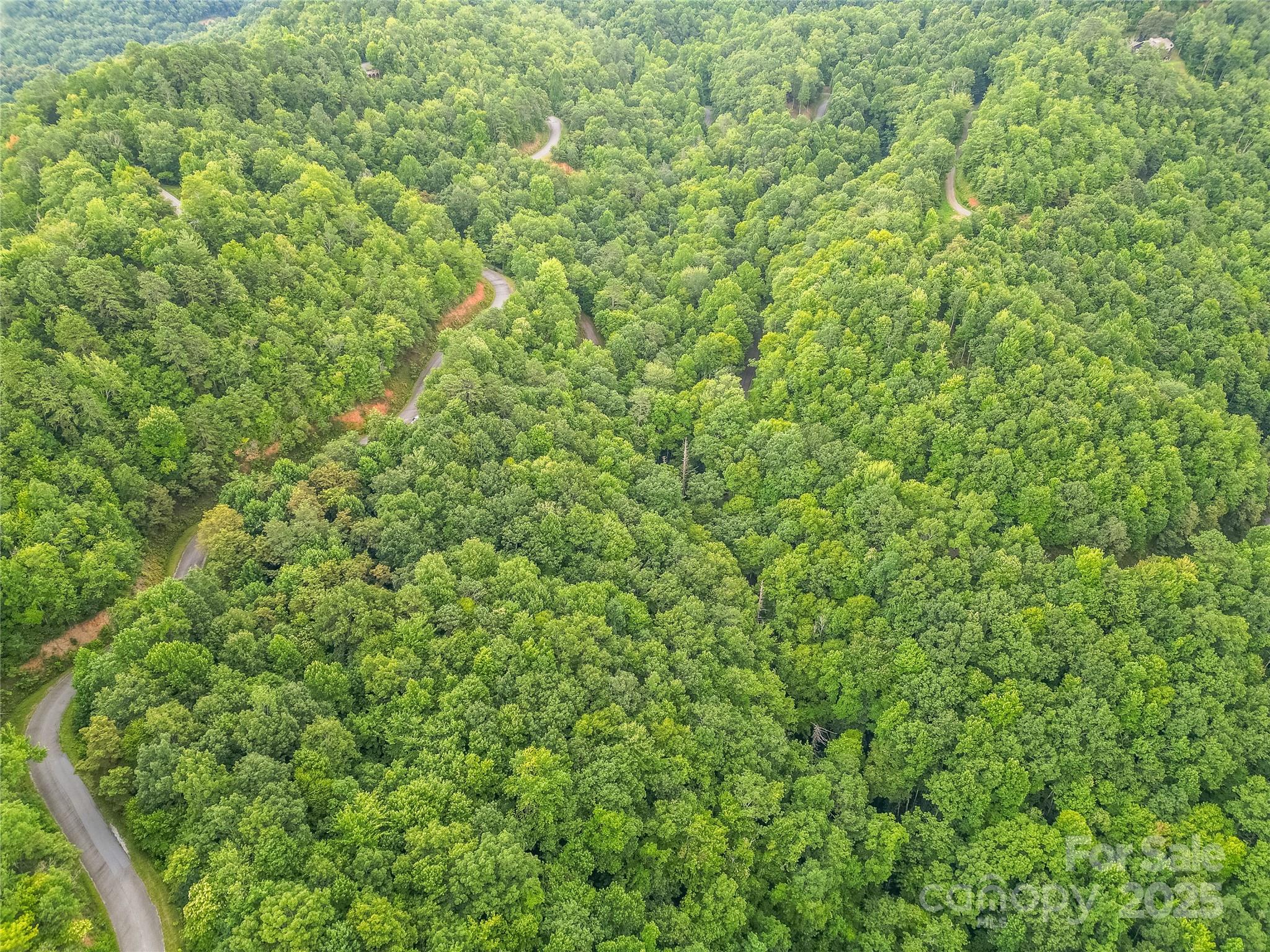 0 Doghobble Drive Franklin, NC 28734 - Photo 6 of 8