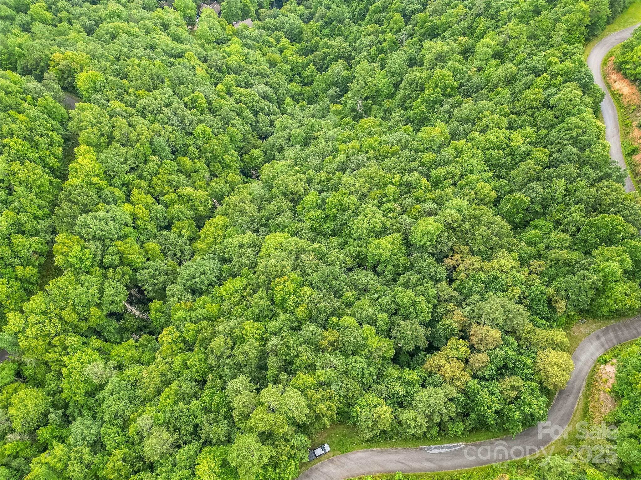 0 Doghobble Drive Franklin, NC 28734 - Photo 7 of 8